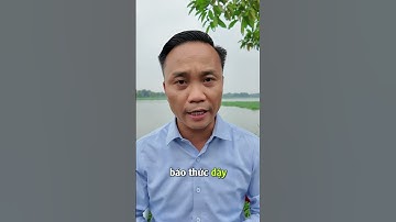 Đây là cách để thành công và phát triển bền vững - Nguyễn Ngọc Sơn