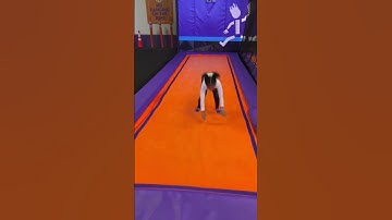 How to do a BACK HANDSPRING??   #Shorts #Viral #backhandspring #gymnastics #gymnast #fyp