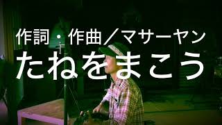 【たねをまこう】癒し系オリジナル曲　50歳からフジロック目指す男・マサーヤン