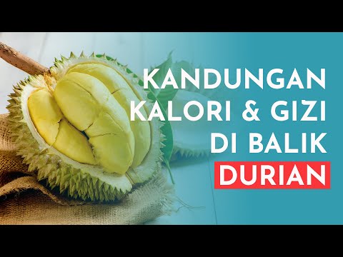 Kalori Buah Durian 1 Biji