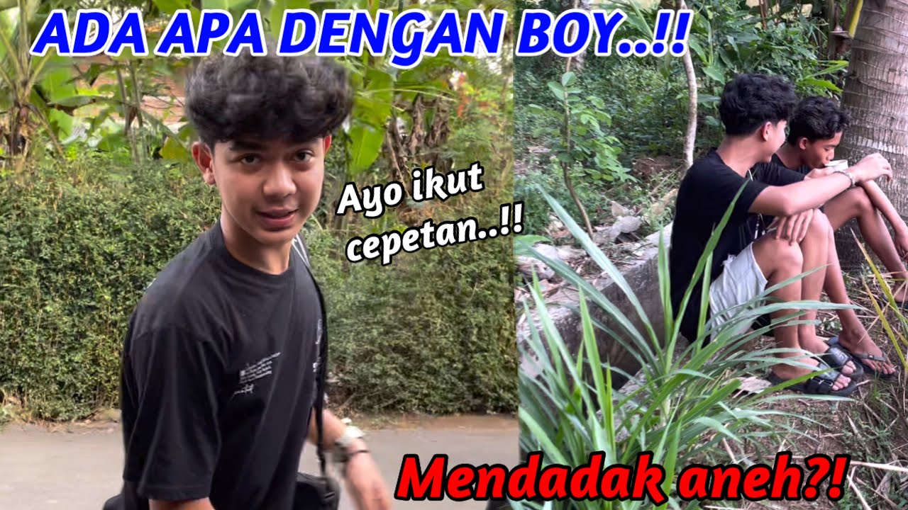 ADA APA DENGAN BOY..!! MENDADAK ANEH?!