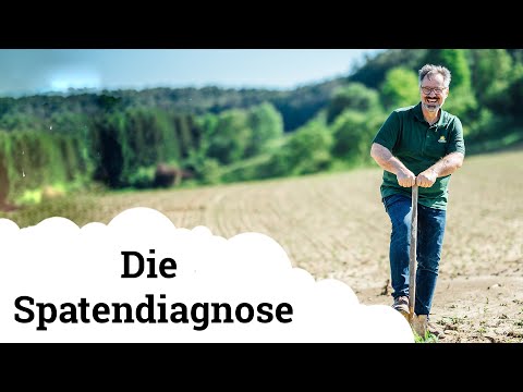 Video: Warum haben Wüsten einen schlechten Boden?