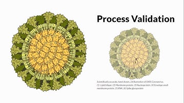 Scientific Visualization of Microorganisms, IDC, IIT Bombay Interaction Design Student