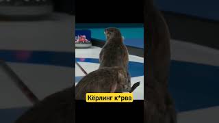 кёрлинг к*рва #юмор #мемы #мем #спорт #бобры