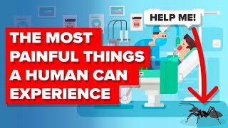 Most Painful Things A Human Can Experience And More Insane Pain Facts (Compilation)