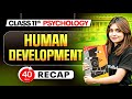 Human Development Class 11 Revision | Class 11 Psychology Chapter 3