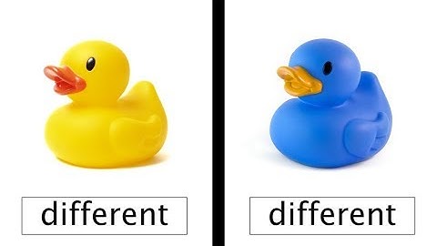 Weekly Content Update | Punctuation Rules, Adjectives, and Same & Different