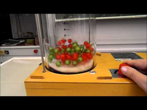 Pro Részecskegyorsító