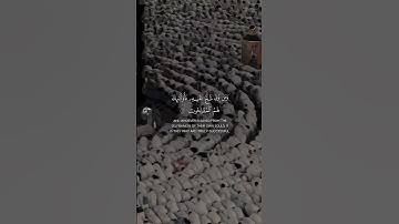 سورة التغابن - الشيخ بدر التركي