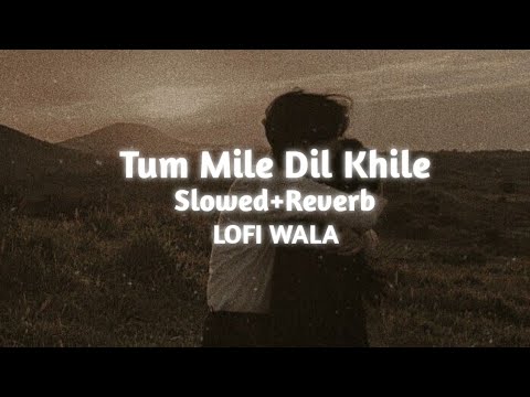 Tum Mile Dil Khile   SlowedReverb   Raj Barman  LOFI WALA