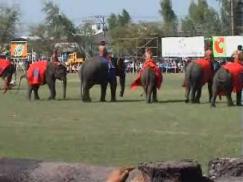 Video: The Eyes Of Thailand: Prothesenbeine Für Elefanten Bauen - Matador Network