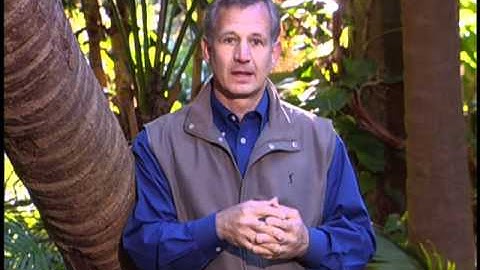 Terry Hershey - Courage - Trust