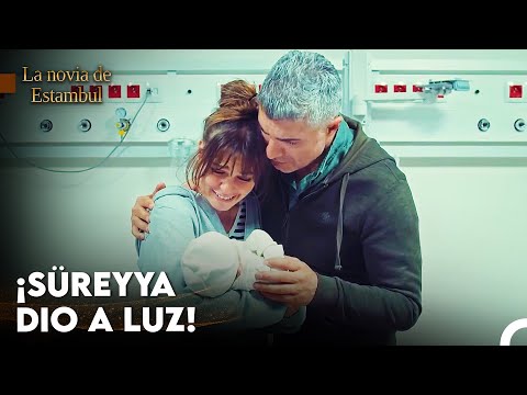 Un Pequeño Miembro De La Familia Boran Ya Está Entre Nosotros - La novia de Estambul