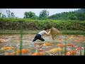 Harvest Fish Technique: Deep River Survival Challenge with Bamboo Fishing Gear