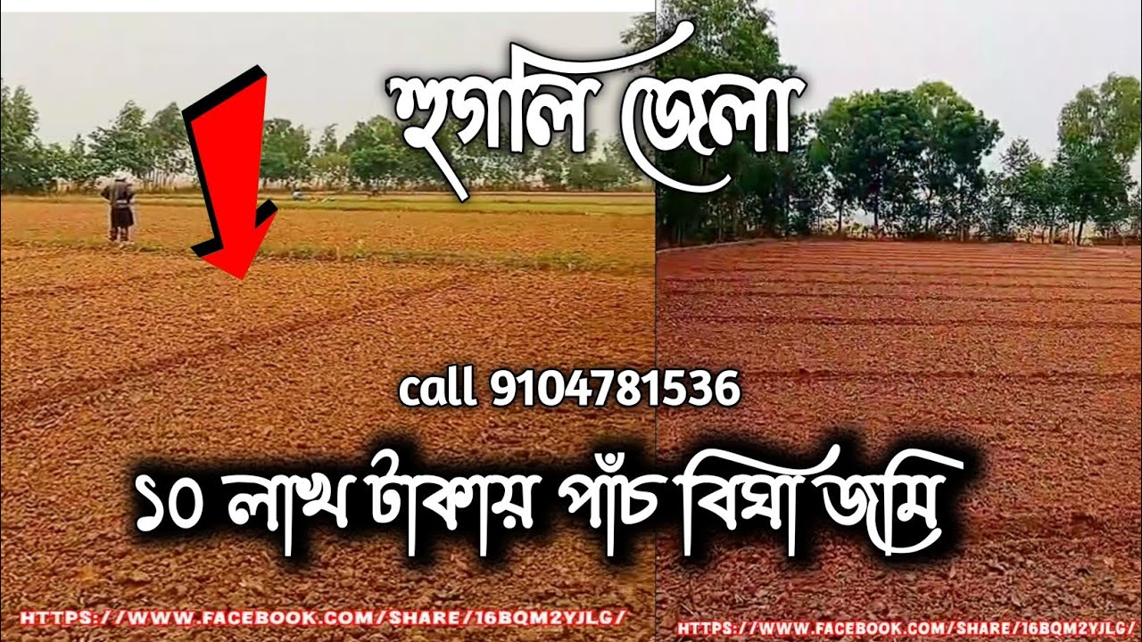 হুগলি জেলা মলয়পুর ১০ লাখ টাকা বিঘা জমি বাগানবাড়ি call 9104781536