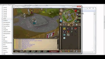 How to play my 317 RSPS [client]