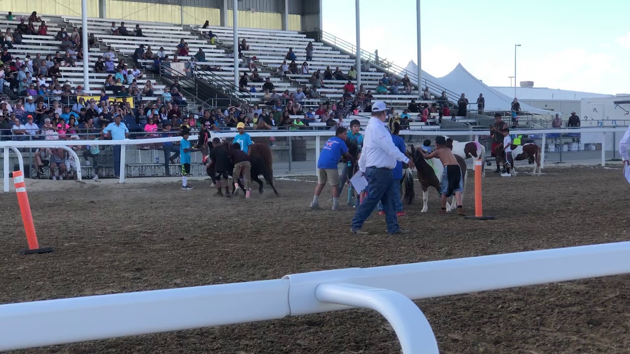 Youth Indian Relay Gillette, WY 9/1/19 YouTube