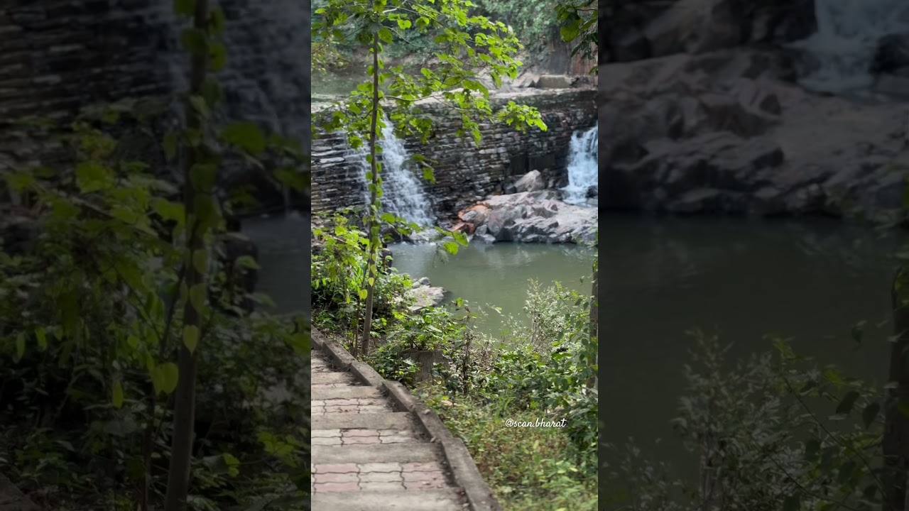 Biodiversity park Hathinala sonebhadra 