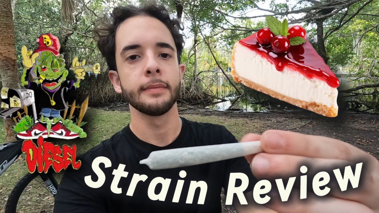 Cherry Cheesecake Strain Review | Diesel Dispensary