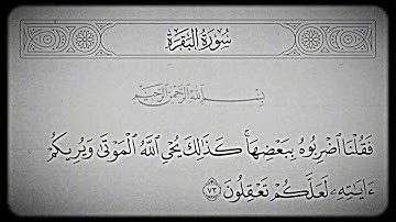 سورة البقرة | تلاوة ماهر المعيقلي | الآية 73