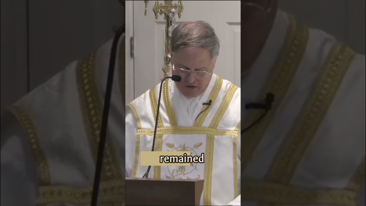 As It Was Then, So Will It Be Again #FrDominicRadecki