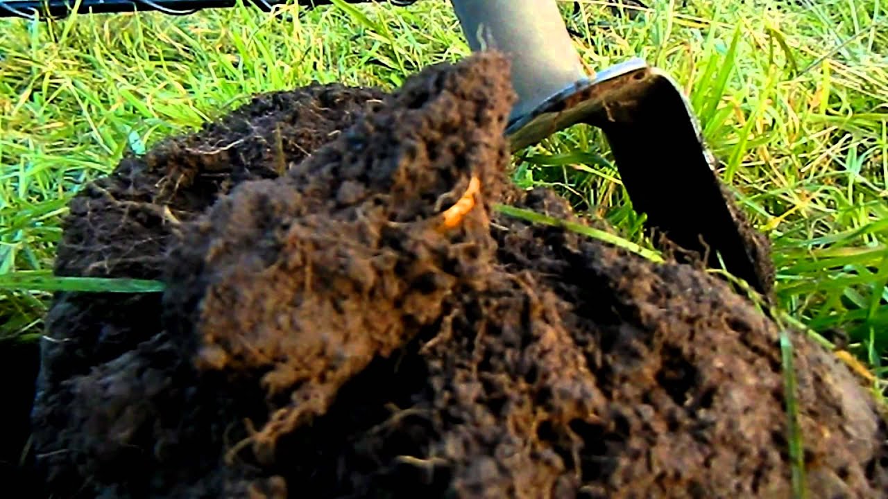 October produces Gold! Metal Detecting in Scotland. YouTube