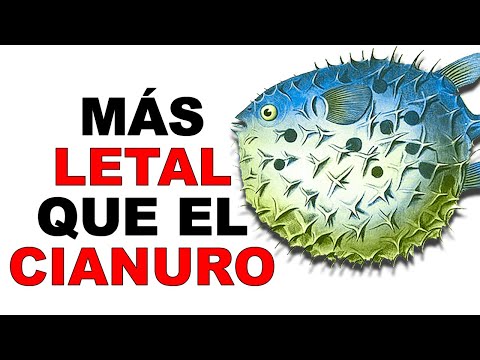 Vídeo: Peces Tropicales Venenosos Capturados Repentinamente En El Mar Negro - Vista Alternativa