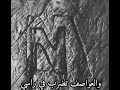 حالات واتس أب حزينة دموع الورد إدعمونا للإستمرارية لايك اشتراك بالقناه ليصلك كل جديد 