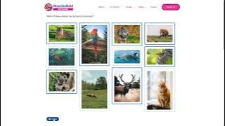 Image Choice – H5P Interactive Quiz