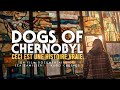 Dogs of chernobyl  the untold story