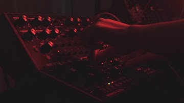 "Glimmer" -Squarp Hermod & Moog Mother32 Live Modular Ambient Session