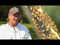 Veteran finds therapy through bee keeping