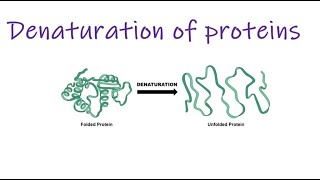 Protein denaturation
