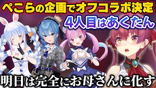 ヴァイス ホロライブ マリン すいせい ぺこら ホロライブ