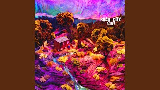 Now She Ain't - Brad Cox