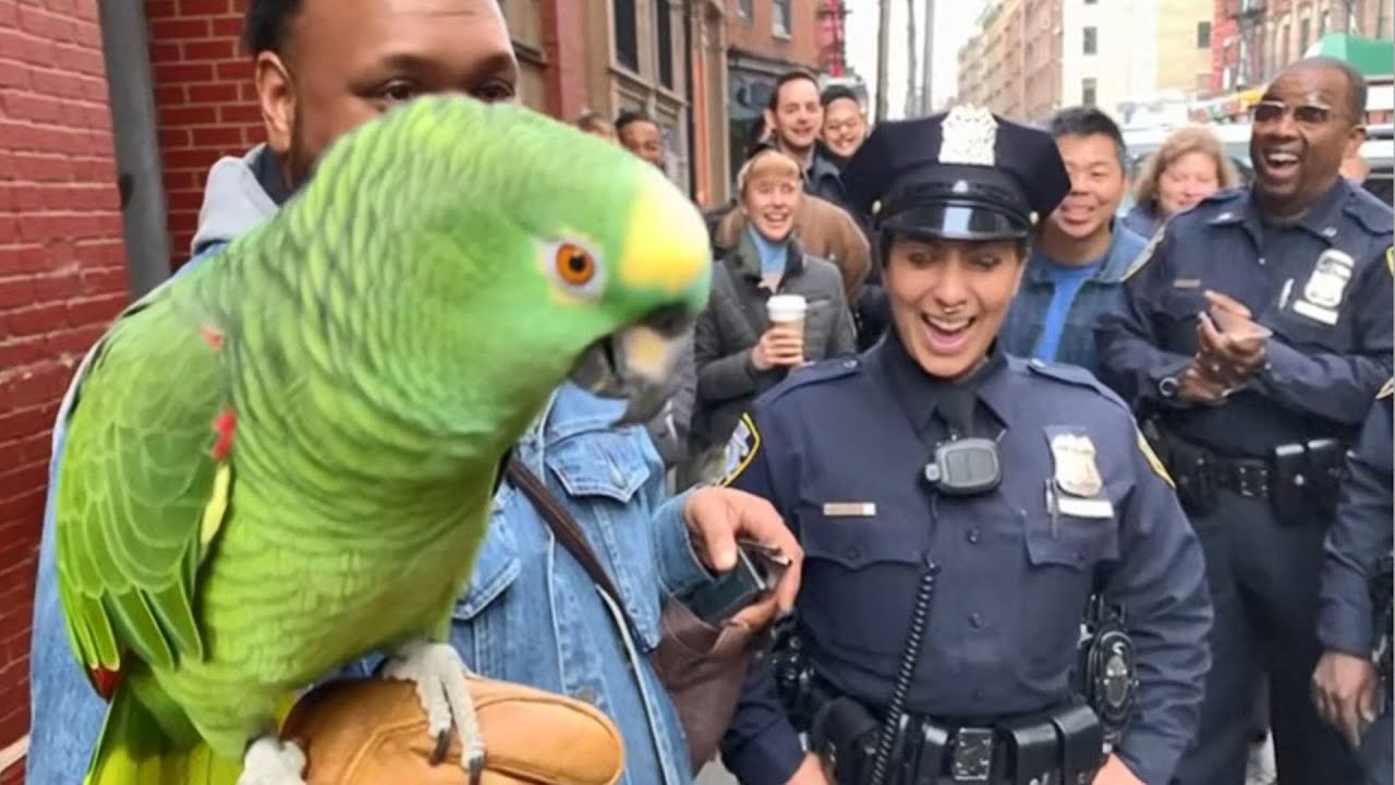 Parrot Or Roaster? 🦜🤣 Parrot Roasts Cops & Doctors – Funniest Reactions You’ll Ever See! 😂🔥