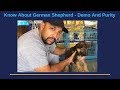 Pet Care - Know About German Shepherd | GSD | Demo | Purity | Bhola Shola | Harwinder Singh Grewal