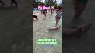 Pig Beach 13/06/23 Carnival Liberty June13,2023 Nassau 🇧🇸 The Bahamas