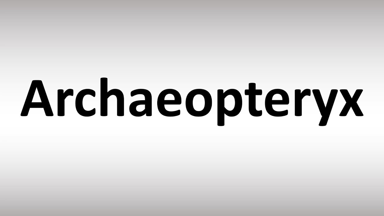 How To Pronounce Archaeopteryx?