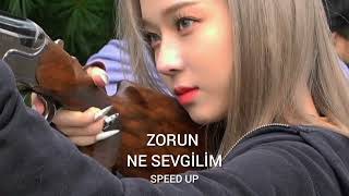 İrem Derici - Zorun Ne Sevgilim (Speed Up)