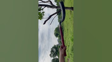 Tôi làm con dao phát rẫy bằng thép hạt bi tàu ngầm chặt cây như chặt chuối vậy thật hiếm có