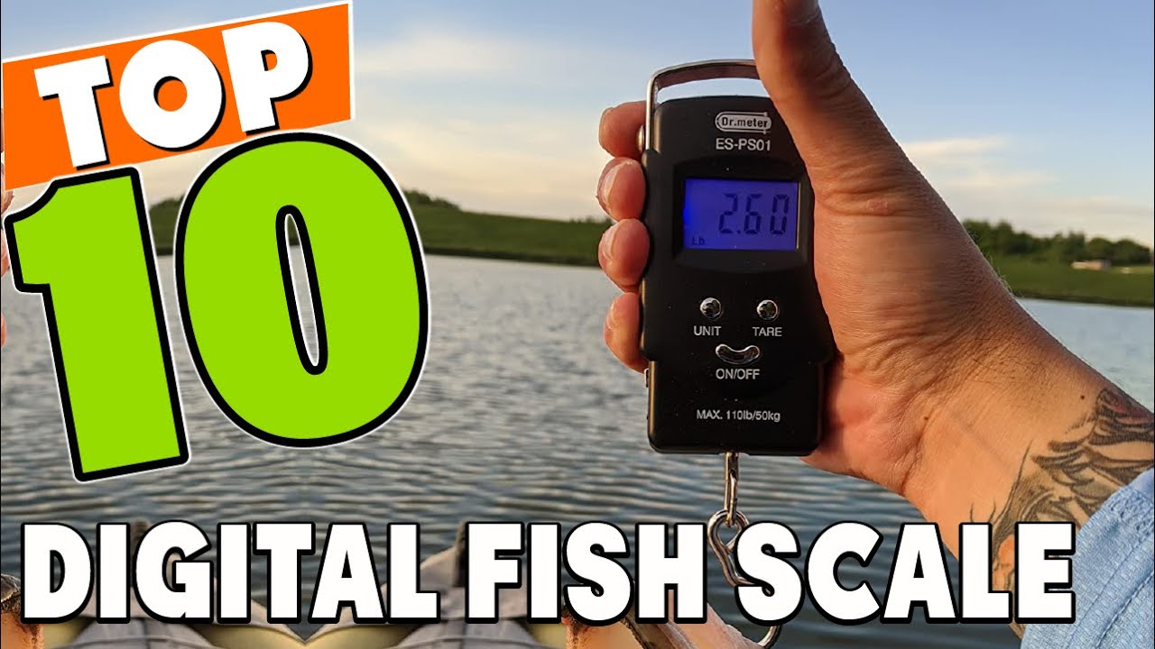Best Digital Fish Scale In 2023 - Top 10 Digital Fish Scales