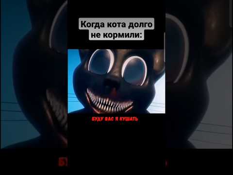 Когда Кота Долго Не Кормили Shorts Memes Meme Кот