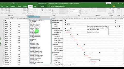 Usage of Outline Codes in Microsoft Project   Reza Hamzehpour