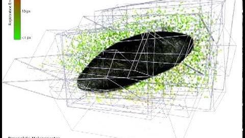 Spinning_disc_tiling_Global_Optimization.mov