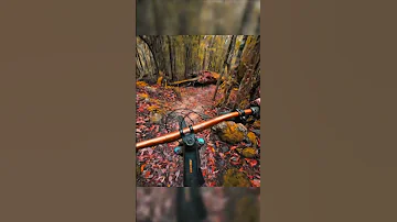 Mtb Mtb 