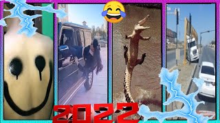 Videos Virales 2022 Humor Todos 