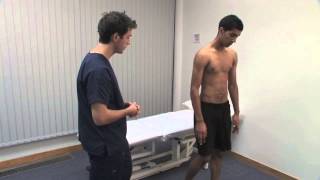 Macleod's examination of the thoracic and lumbar spine