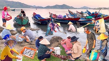 Vịnh Lăng Cô Dưới Chân Đèo Hải Vân | Tuyệt Đẹp Đầm Lập An Huế