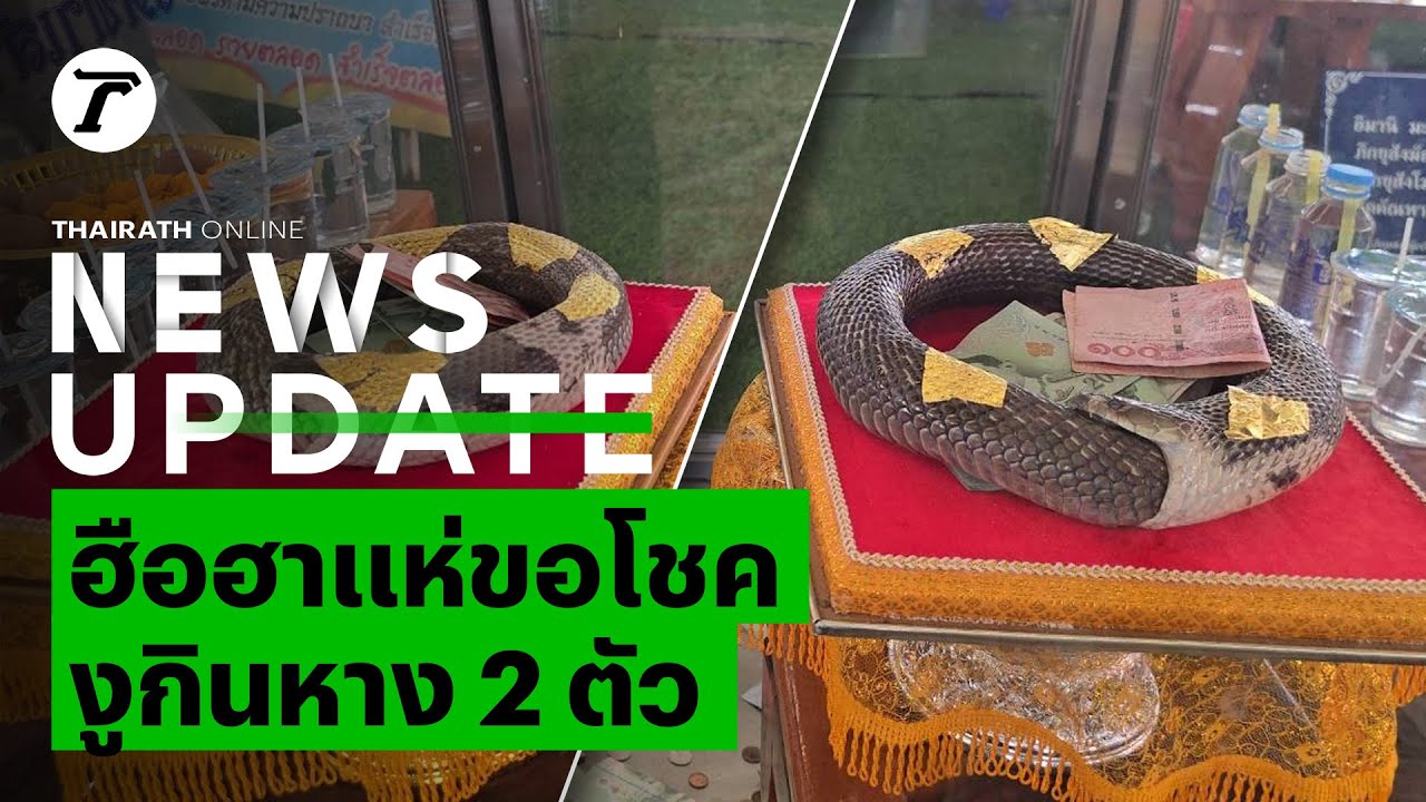 ฮือฮา พระเจอซากงูกินหาง 2 ตัว สภาพสมบูรณ์ ชาวบ้านไม่พลาดแห่ขอโชคลาภ | News Update
